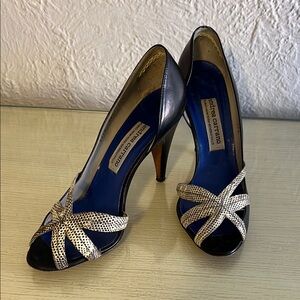 Elegant Black and Silver Heels